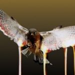 fabriclive38