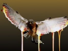 Fabriclive 38