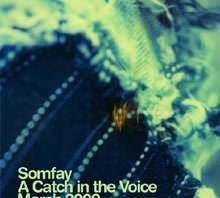 a_catch_in_the_voice_by_somfay.jpg