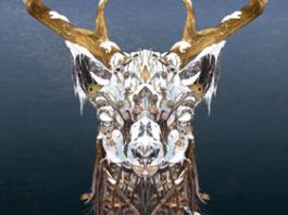 fabriclive_46.jpg