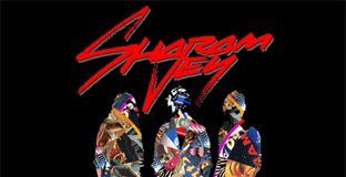 In My Blood by Sharam Jey - cover album