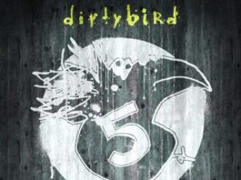 5 YEARS OF DIRTYBIRD - cover album