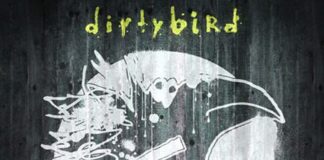 5 YEARS OF DIRTYBIRD - cover album