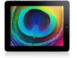 iPad - the new gadget from Apple screen front foto