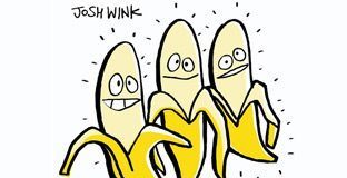 Remixed & Peeled by Josh Wink - cover CD with 3 bananas