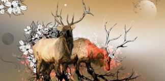 Renaissance The Mix Collection