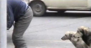 COMRADES OF TIME Exhibition