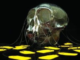 FabricLive 52 by Zero - cover albumwith a monkey tagged schelet head