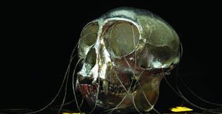 FabricLive 52 by Zero - cover albumwith a monkey tagged schelet head