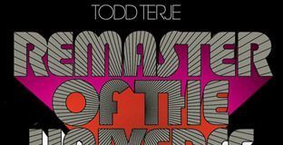 Remaster Of The Universe - cover album