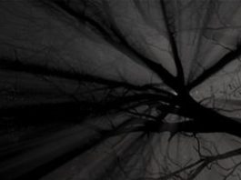 Shadows Without Light by Spektre - cover album