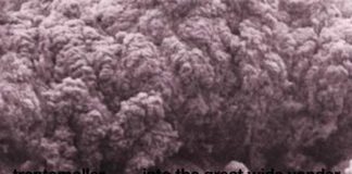 The Great Wide Yonder by Trentemoller - cover album