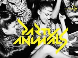 Party Animals - cd cover