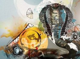 Parallel by Hernan Cattaneo