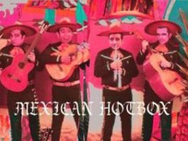 Mexican Hotbox by Danuel Tate