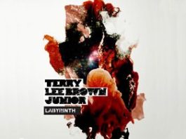 Labyrinth_by_Terry_Lee_Brown