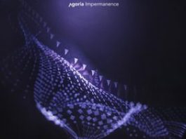 Impermanence by Agoria - cover album