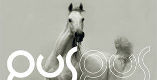 Arabian Horse by Gus Gus - cover album