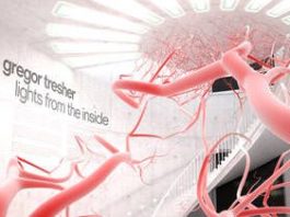 Lights From Inside by Gregor Tresher