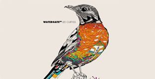 Watergate 8 by Lee Curtis