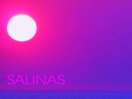 DJ Salinas - Aurora (ep cover)