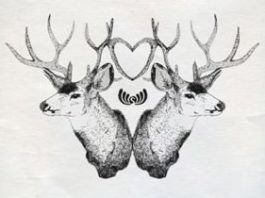 Heartbeats by Supplement Facts - compilation cover