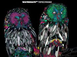 Watergate 09 by Tiefschwarz - cover album