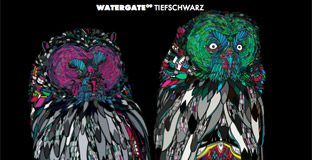 Watergate 09 by Tiefschwarz - cover album