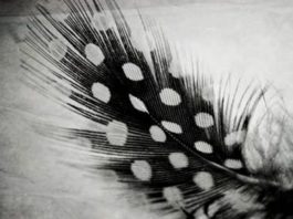 fiveunderground 17_10