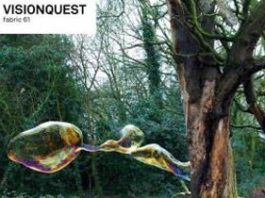 Fabric 61 by Visionquest