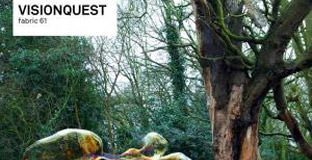 Fabric 61 by Visionquest