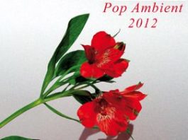 Pop Ambient 2012