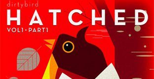 Hatched by_Dirtybird