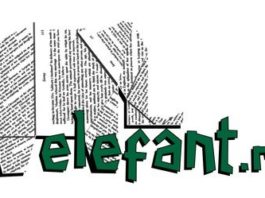 logo elefant