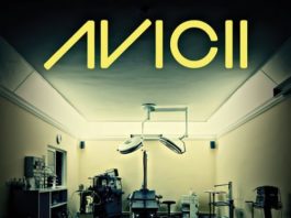 Avicii - Silhouettes