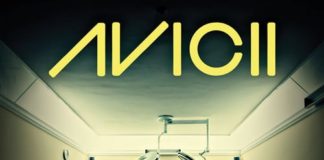 Avicii - Silhouettes