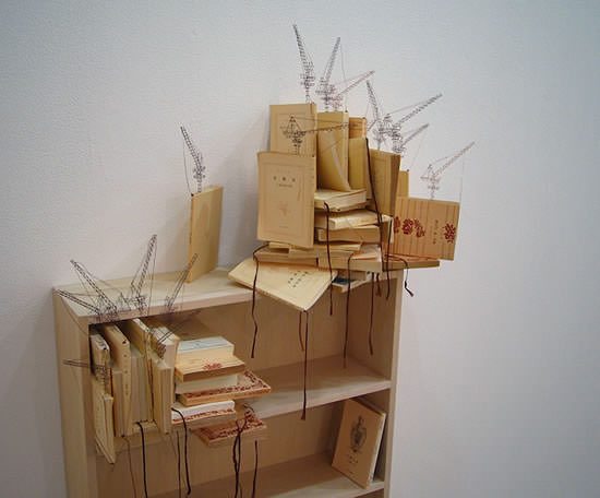 Takahiro Iwasaki - Tectonic Model