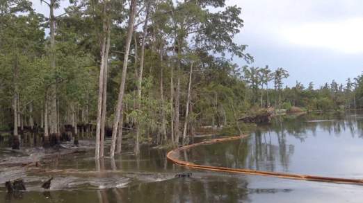sinkhole1