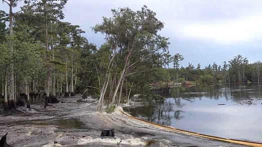 sinkhole2