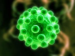 Virusul hepatitei B, reprezentare generica