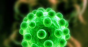 Virusul hepatitei B, reprezentare generica