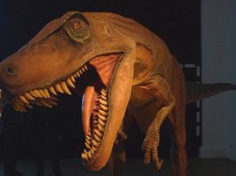 Dinozaur din expozitia de la Grand Cosmos