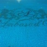 Blueberry Pool