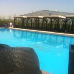 Blueberry Pool 2