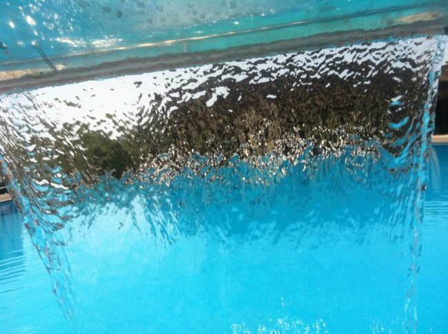 Blueberry Pool 6