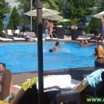 Miss Blueberry Pool 7
