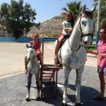 Nicusor Stan in Grecia
