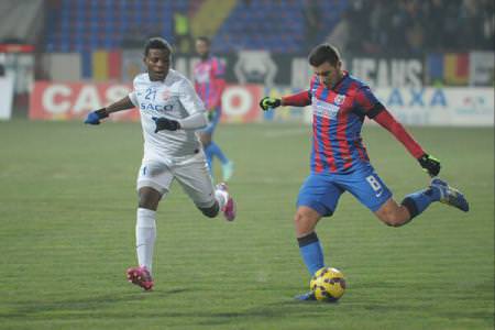 steaua boto