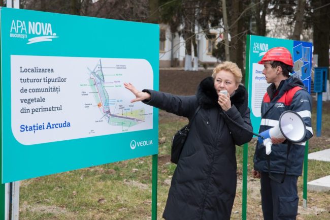 Planul statiei Arcuda