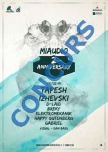 2any-MiAudio-CONCURS